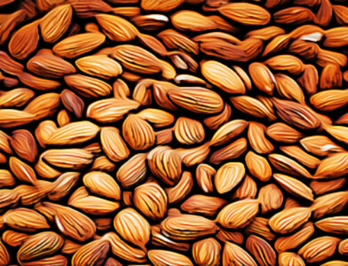 Critical Merchandising Strategies To Grow Sales With Plant-Based Products