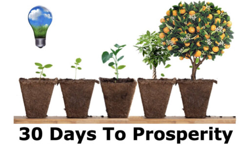 Plants growing, symbolizing prosperity journey.